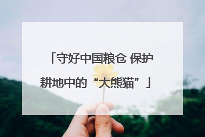 守好中国粮仓 保护耕地中的“大熊猫”