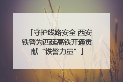 守护线路安全 西安铁警为西延高铁开通贡献“铁警力量”