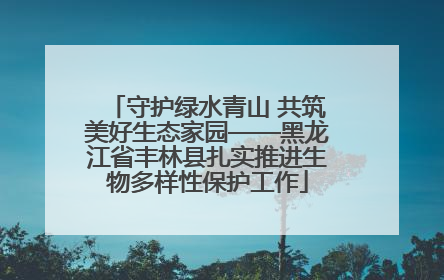 守护绿水青山 共筑美好生态家园——黑龙江省丰林县扎实推进生物多样性保护工作