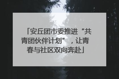 安丘团市委推进“共青团伙伴计划”，让青春与社区双向奔赴