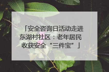 安全咨询日活动走进东湖村社区：老年居民收获安全“三件宝”