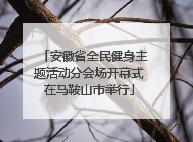安徽省全民健身主题活动分会场开幕式在马鞍山市举行