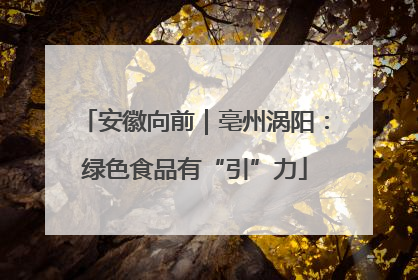 安徽向前｜亳州涡阳：绿色食品有“引”力