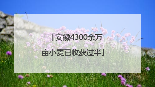 安徽4300余万亩小麦已收获过半