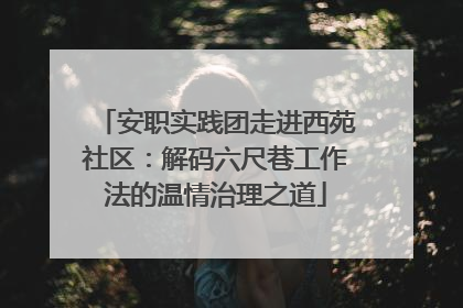 安职实践团走进西苑社区：解码六尺巷工作法的温情治理之道