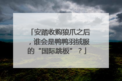 安踏收购狼爪之后，谁会是鸭鸭羽绒服的“国际跳板”？