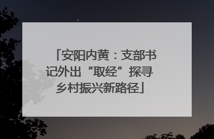 安阳内黄：支部书记外出“取经”探寻乡村振兴新路径