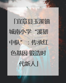 宜章县玉溪镇城南小学“溪韧中队”：传承红色基因 锻造时代新人