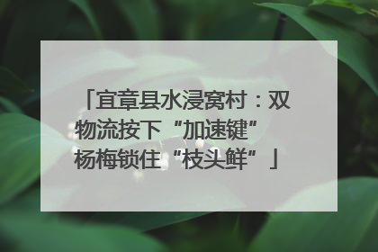 宜章县水浸窝村：双物流按下“加速键” 杨梅锁住“枝头鲜”