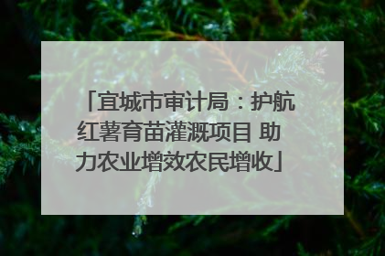 宜城市审计局：护航红薯育苗灌溉项目 助力农业增效农民增收
