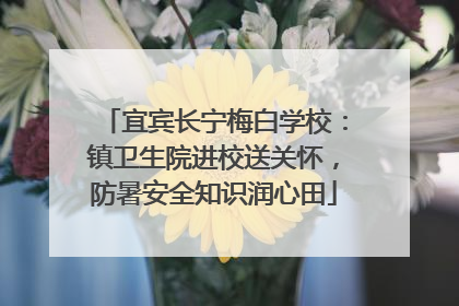 宜宾长宁梅白学校：镇卫生院进校送关怀，防暑安全知识润心田