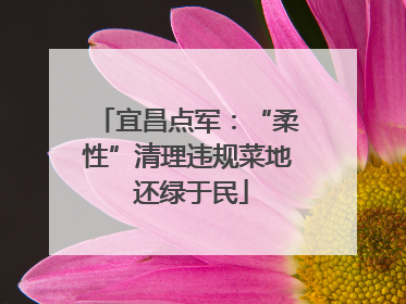 宜昌点军：“柔性”清理违规菜地 还绿于民