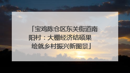 宝鸡陈仓区东关街道南阳村：大棚经济结硕果 绘就乡村振兴新图景