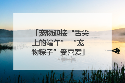宠物迎接“舌尖上的端午” “宠物粽子”受喜爱