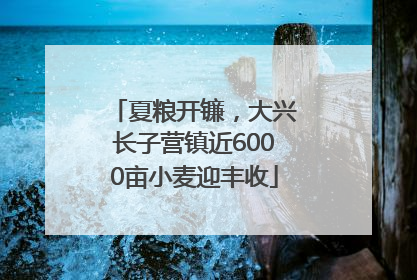 夏粮开镰，大兴长子营镇近6000亩小麦迎丰收