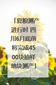 夏粮测产进行时 四川6月底前将完成4500块抽样地块测产