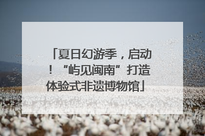 夏日幻游季，启动！“屿见闽南”打造体验式非遗博物馆