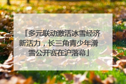 多元联动激活冰雪经济新活力，长三角青少年滑雪公开赛在沪落幕