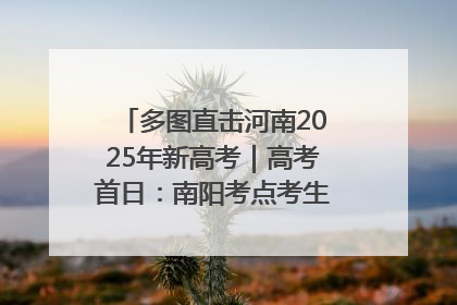 多图直击河南2025年新高考｜高考首日：南阳考点考生信心满满迎战