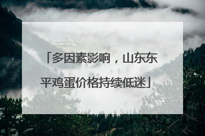 多因素影响，山东东平鸡蛋价格持续低迷