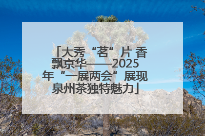 大秀“茗”片 香飘京华——2025年“一展两会”展现泉州茶独特魅力