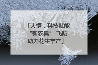 大悟：科技赋能“新农具” 飞防助力花生丰产