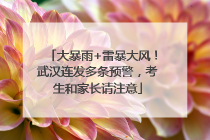 大暴雨+雷暴大风！武汉连发多条预警，考生和家长请注意