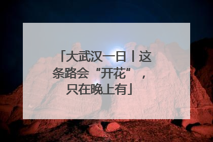 大武汉一日丨这条路会“开花”，只在晚上有