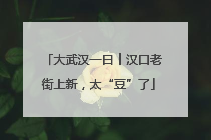 大武汉一日︱汉口老街上新，太“豆”了