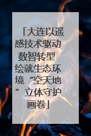 大连以遥感技术驱动数智转型 绘就生态环境“空天地”立体守护画卷