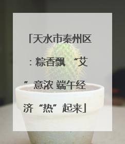 天水市秦州区：粽香飘 “艾”意浓 端午经济“热”起来