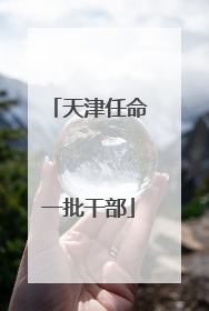 天津任命一批干部