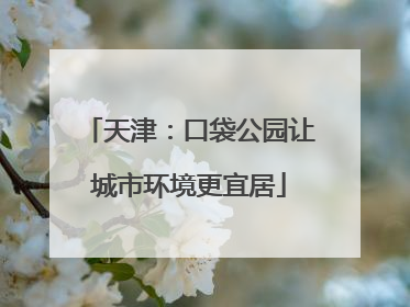 天津：口袋公园让城市环境更宜居