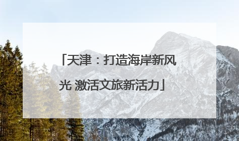 天津：打造海岸新风光 激活文旅新活力