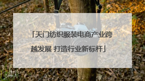 天门纺织服装电商产业跨越发展 打造行业新标杆