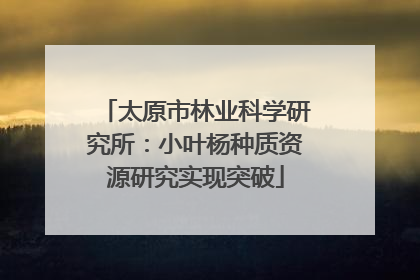太原市林业科学研究所：小叶杨种质资源研究实现突破