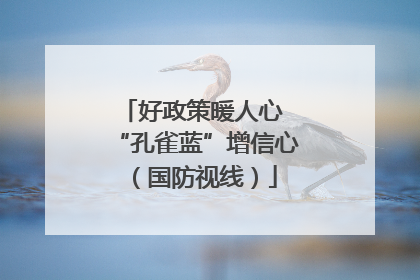 好政策暖人心 “孔雀蓝”增信心（国防视线）