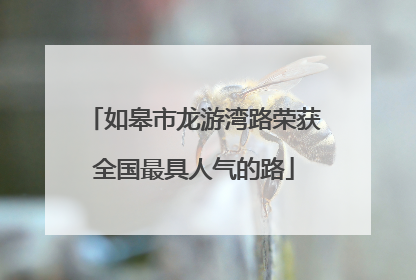 如皋市龙游湾路荣获全国最具人气的路