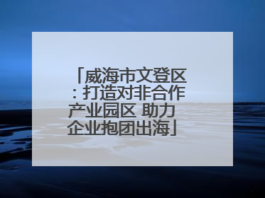 威海市文登区：打造对非合作产业园区 助力企业抱团出海