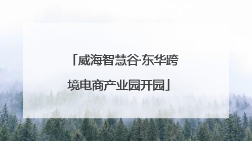 威海智慧谷·东华跨境电商产业园开园