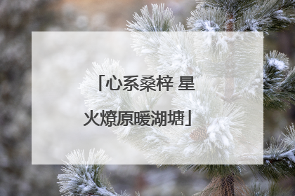 心系桑梓 星火燎原暖湖塘