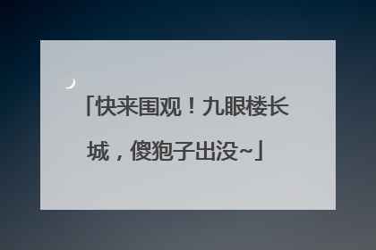快来围观！九眼楼长城，傻狍子出没~