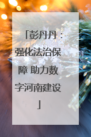彭丹丹：强化法治保障 助力数字河南建设