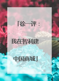 徐一评：我在智利建中国商城