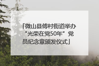 微山县傅村街道举办“光荣在党50年”党员纪念章颁发仪式
