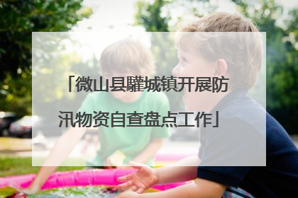微山县驩城镇开展防汛物资自查盘点工作