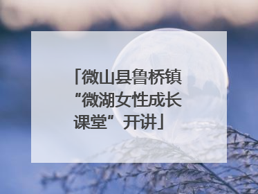 微山县鲁桥镇“微湖女性成长课堂”开讲