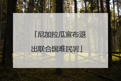 尼加拉瓜宣布退出联合国难民署