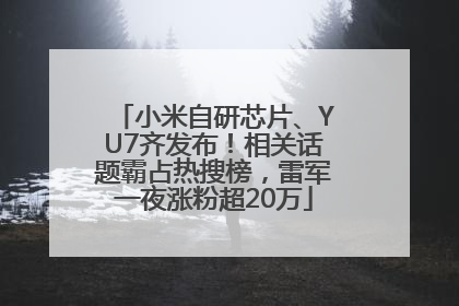 小米自研芯片、YU7齐发布！相关话题霸占热搜榜，雷军一夜涨粉超20万