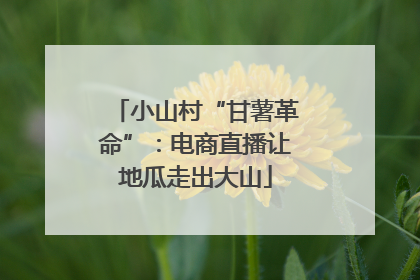 小山村“甘薯革命”：电商直播让地瓜走出大山
